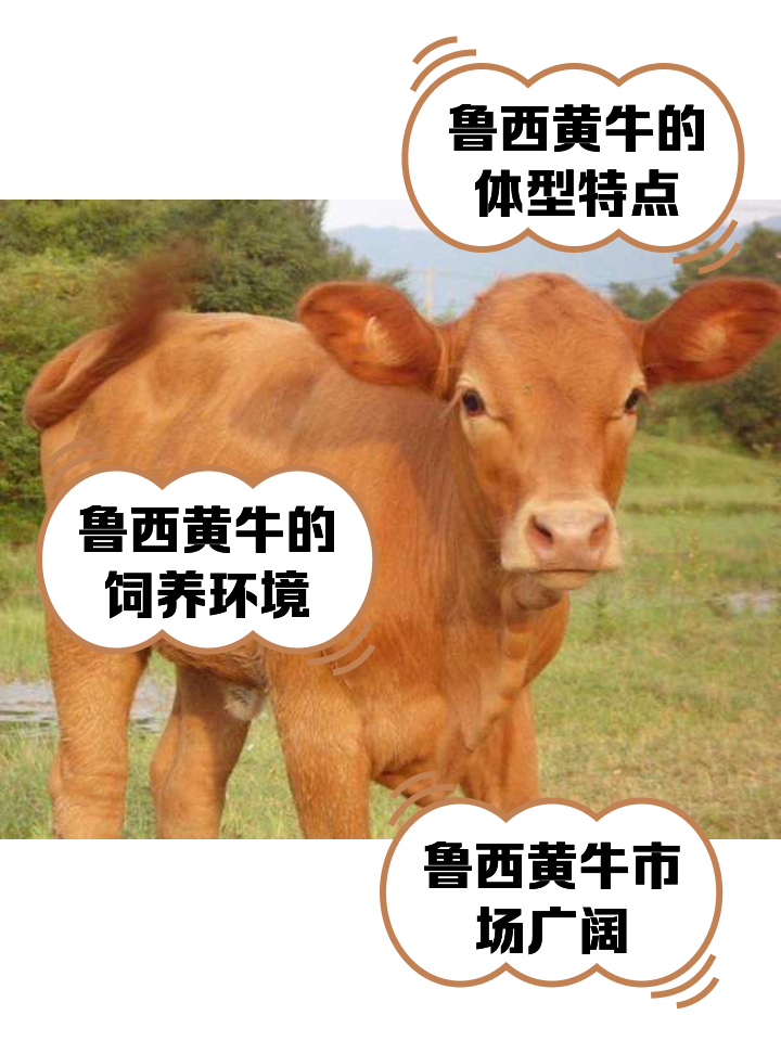 德阳最新医保取现黄牛方法分析(最方便真实的德阳医保取现黄牛怎么取方法)